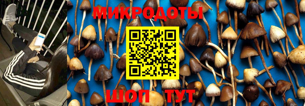 Псилоцибиновые грибы GOLDEN TEACHER  Вход с VPN  Борисоглебск 